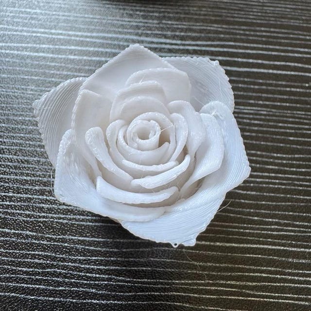 3D Printed Rose - With Spiral Stem and Leaves - Digital Files - Etsy