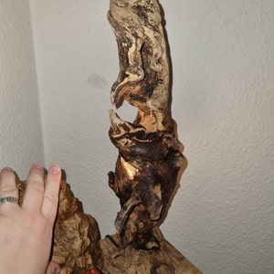 Cecilia added a photo of their purchase