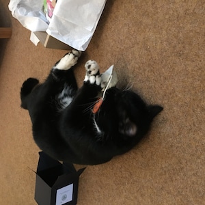 lesley added a photo of their purchase