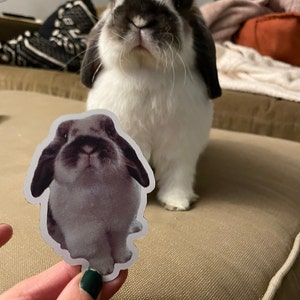 Alaina added a photo of their purchase