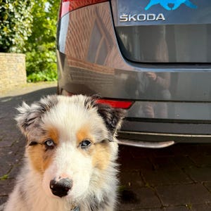 James added a photo of their purchase