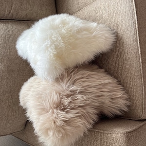 Kassandra added a photo of their purchase