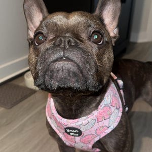 Breauna added a photo of their purchase