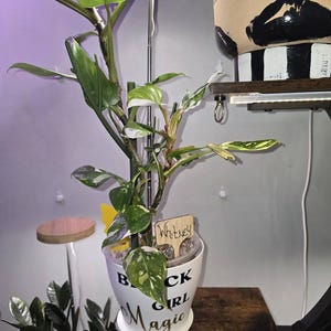 Yolanda a ajouté une photo de son achat