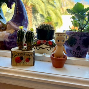 Joyce added a photo of their purchase