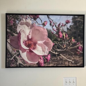 Robbin added a photo of their purchase