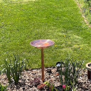Darcy added a photo of their purchase