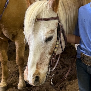 Mouth Pelham Double Jointed Lozenge Horse Bit Tedesco Argento &amp; SS