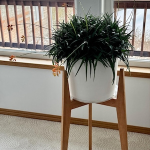 Janie added a photo of their purchase