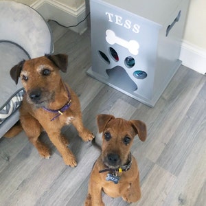 Claire added a photo of their purchase