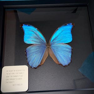 Hanna added a photo of their purchase