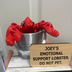 Amanda added a photo of their purchase