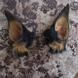 Dierenoren hoofdband met bel, 2 stuks kattenoor hoofdband set, zachte