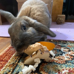 Bunny Toss and Chew Toy - Etsy