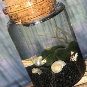 Alesha added a photo of their purchase