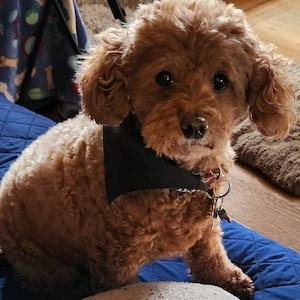 Becky ha añadido una foto de su compra
