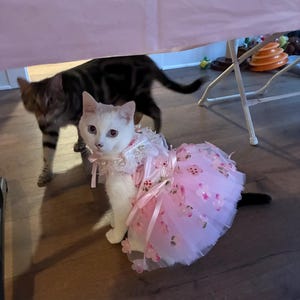 Cat Flower Dress Sakura Pink, Floral Fancy Tutu Dress for Cats and