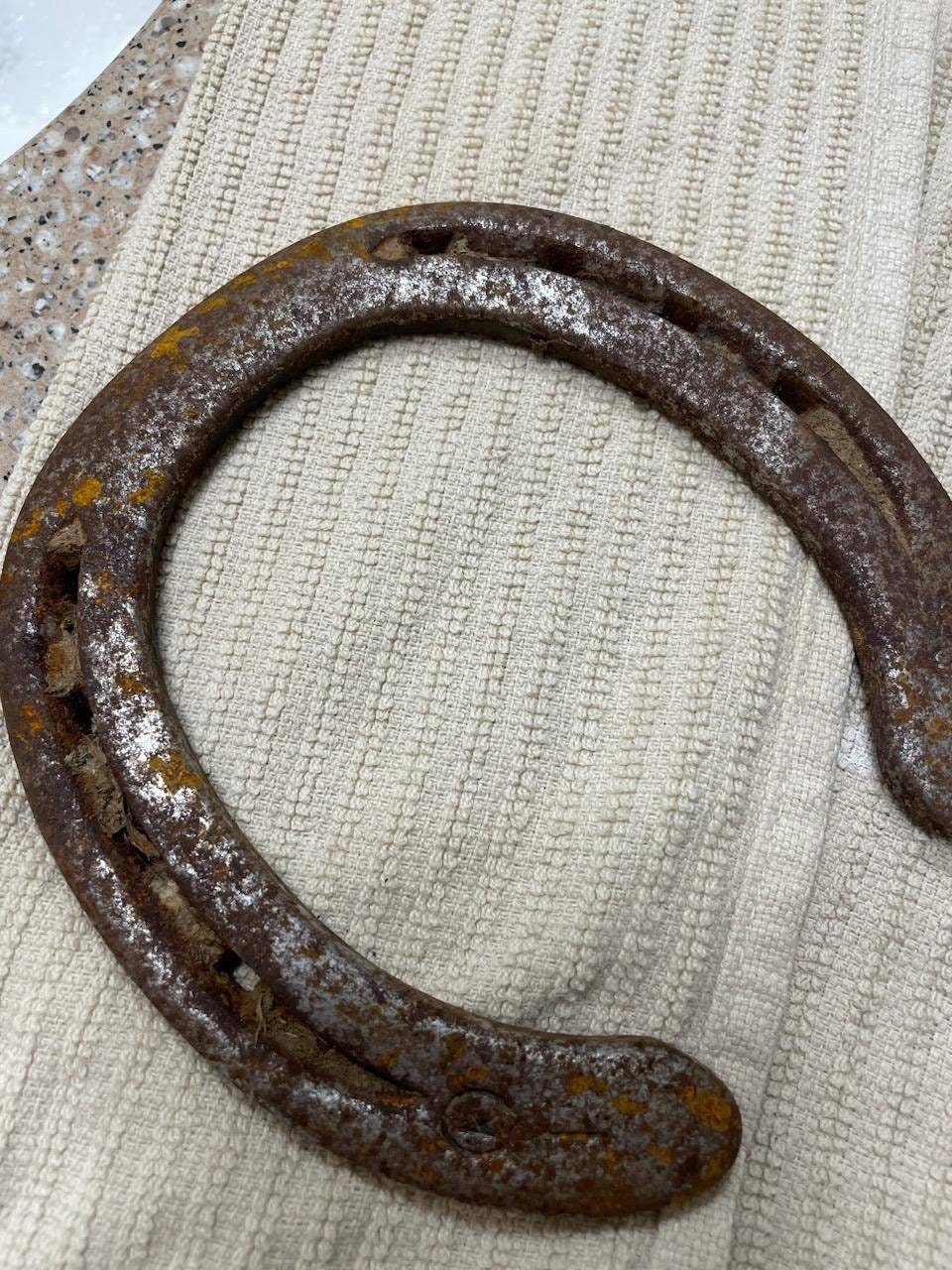 Authentic Used Horse Shoes-Flat Shoes-Assorted sizes-Rusted Shoes-Shiny Shoes-Cowboy Art-Farrier Horseshoes-Western Decor