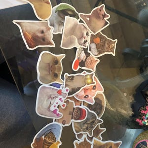 antonia adicionaram uma foto da sua compra