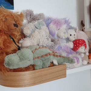Alice added a photo of their purchase