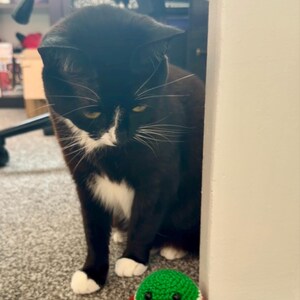 Zoe ha añadido una foto de su compra