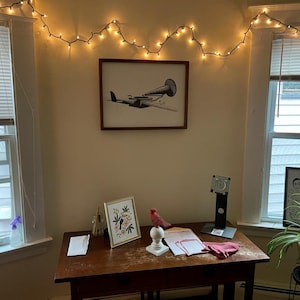 Ariel added a photo of their purchase