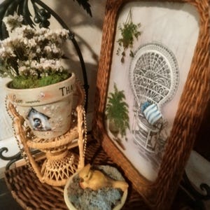 Wanda added a photo of their purchase
