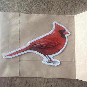 Rachel added a photo of their purchase