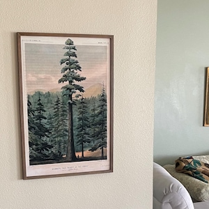 Mark ha añadido una foto de su compra