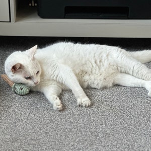 Verity heeft een foto van de aankoop toegevoegd
