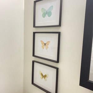 Linda added a photo of their purchase