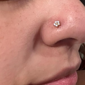 Jessica added a photo of their purchase
