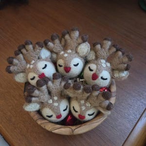 L added a photo of their purchase