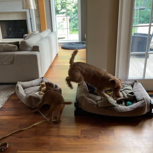 Tina added a photo of their purchase