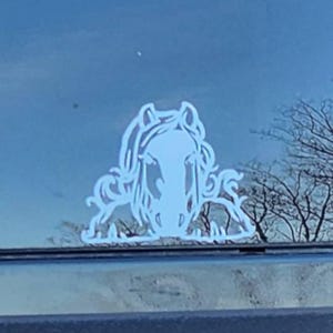 Teri added a photo of their purchase