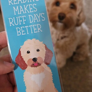 Kim added a photo of their purchase