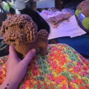 Erin a ajouté une photo de son achat
