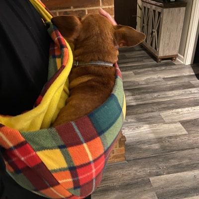 Dachshund Sling, Dog Sling, Dog Carry Bag, Dachshund Carrier - Etsy UK