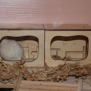 Picture of Hamster Tunnel/ Hamster Cave Hideout/ Chamber Rooms/ Hamster | Etsy UK