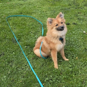 Shannon added a photo of their purchase