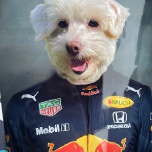 Red Ball Formula Racing Car F1 Driver Team Pet Portrait - Etsy