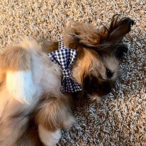 Brandy ha añadido una foto de su compra