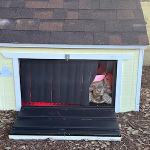 sheila added a photo of their purchase