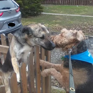 Douglas added a photo of their purchase