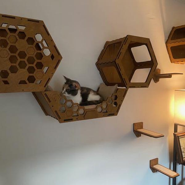 Image showcasing Cat Wall Furniture, Modern Cat Wall Shelves, Cat Wall Bed, Cat Bridge ...