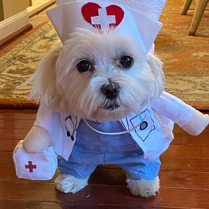 NURSE or CANDY STRIPER Dog Hat Choose 