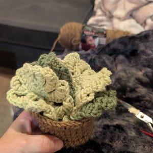 Heather added a photo of their purchase