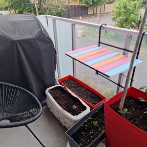 Céleste added a photo of their purchase