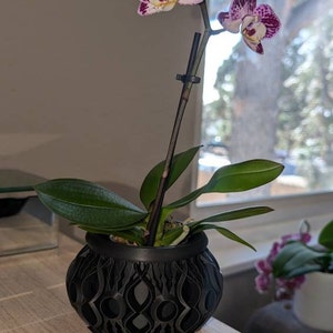 Samantha added a photo of their purchase