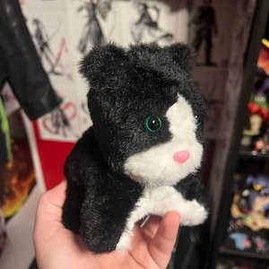 Maria added a photo of their purchase